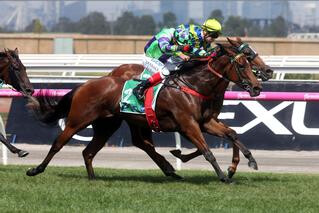 Another Stakes Win For I Am A Star (NZ) in Kewney Stakes. Photo: Equine Images.